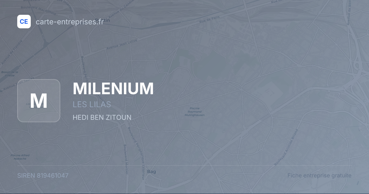MILENIUM — 819461047 — fiche entreprise
