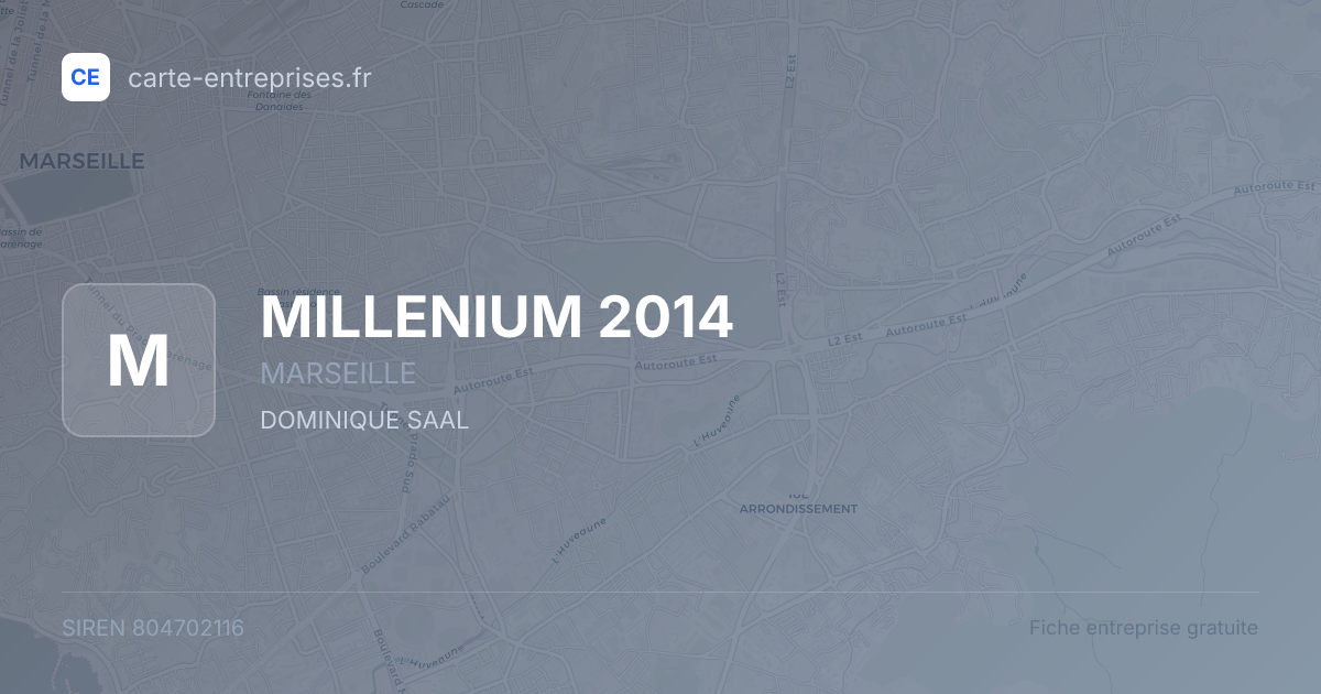 MILLENIUM 2014 — 804702116 — fiche entreprise