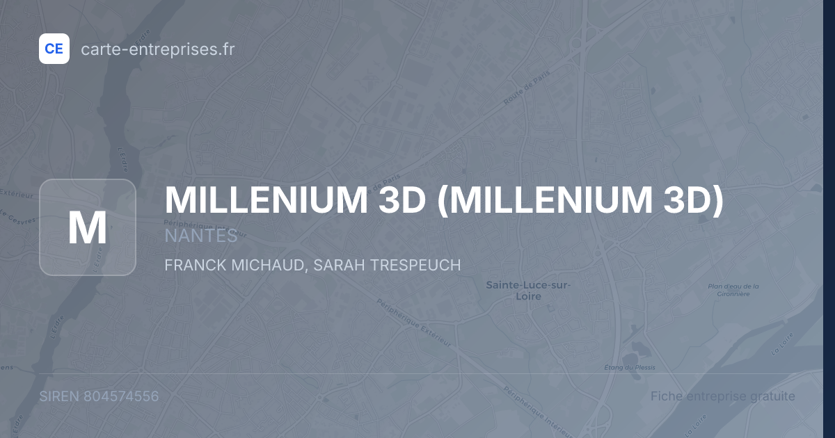 MILLENIUM 3D — 804574556 — fiche entreprise