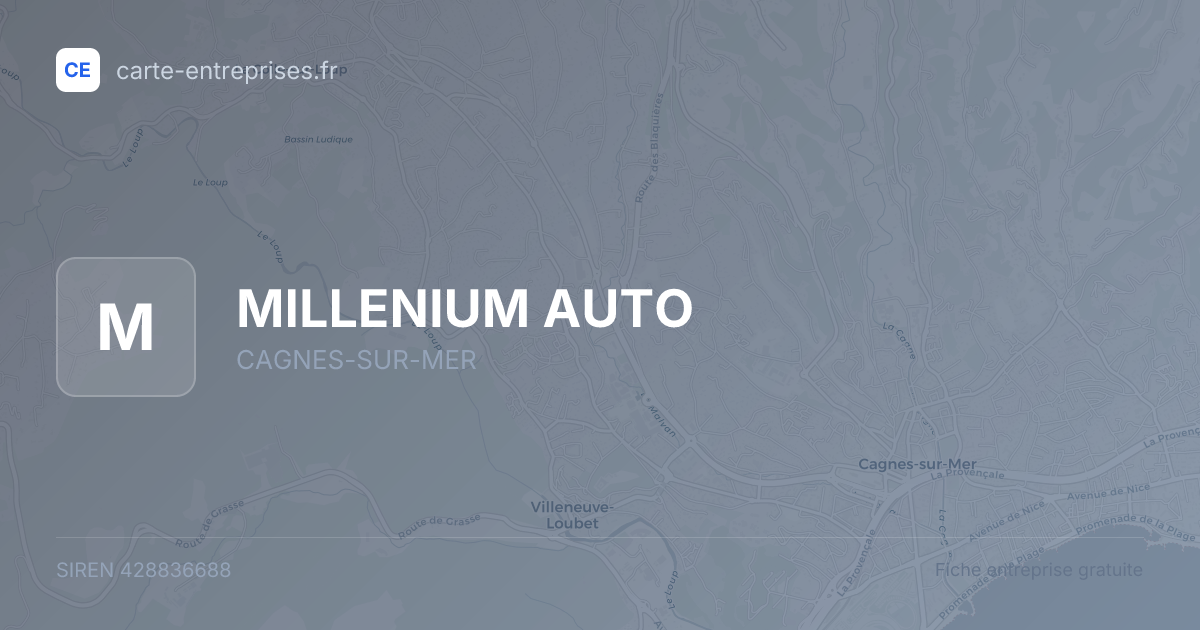 MILLENIUM AUTO — 428836688 — fiche entreprise