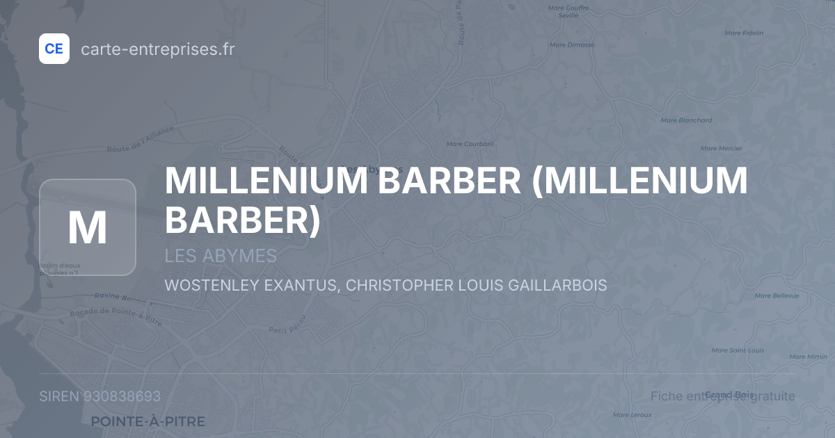 MILLENIUM BARBER — 930838693 — fiche entreprise