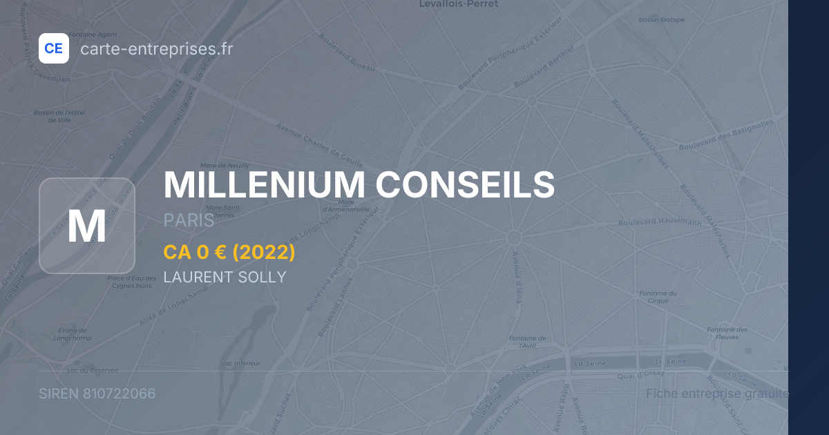 MILLENIUM CONSEILS — 810722066 — fiche entreprise