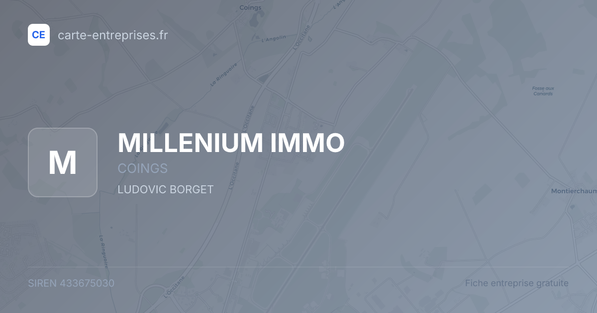 MILLENIUM IMMO — 433675030 — fiche entreprise