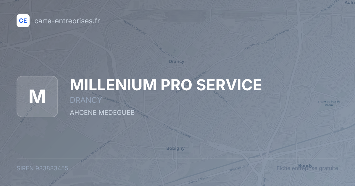 MILLENIUM PRO SERVICE — 983883455 — fiche entreprise