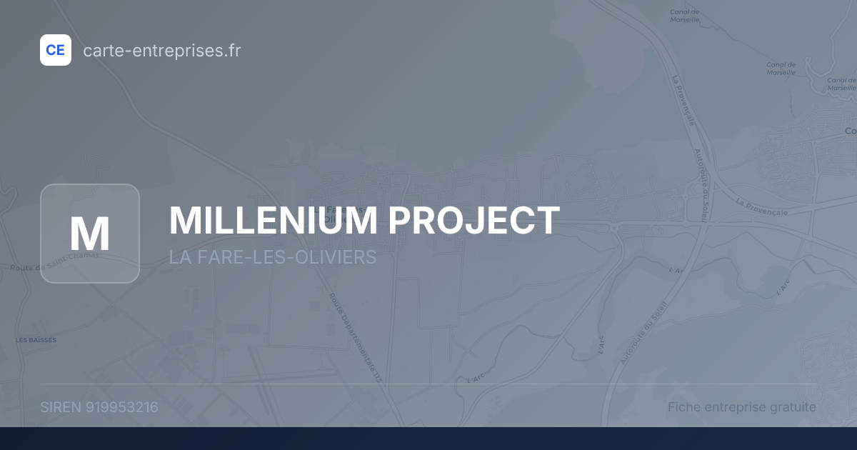 MILLENIUM PROJECT — 919953216 — fiche entreprise