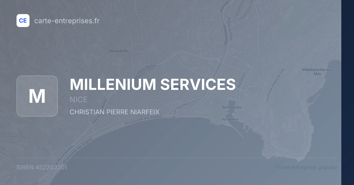 MILLENIUM SERVICES — 452203201 — fiche entreprise