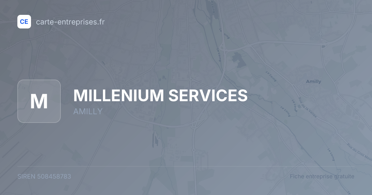 MILLENIUM SERVICES — 508458783 — fiche entreprise