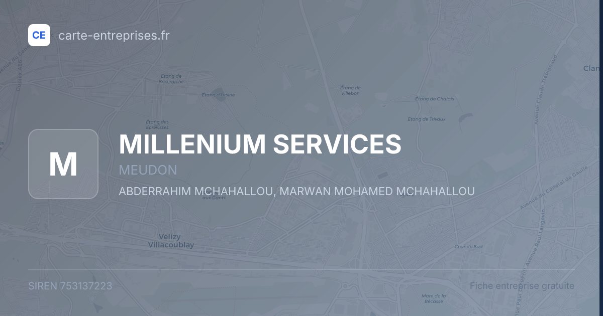 MILLENIUM SERVICES — 753137223 — fiche entreprise