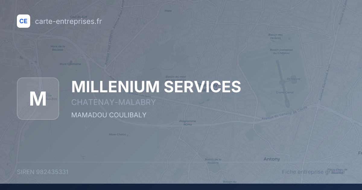 MILLENIUM SERVICES — 982435331 — fiche entreprise