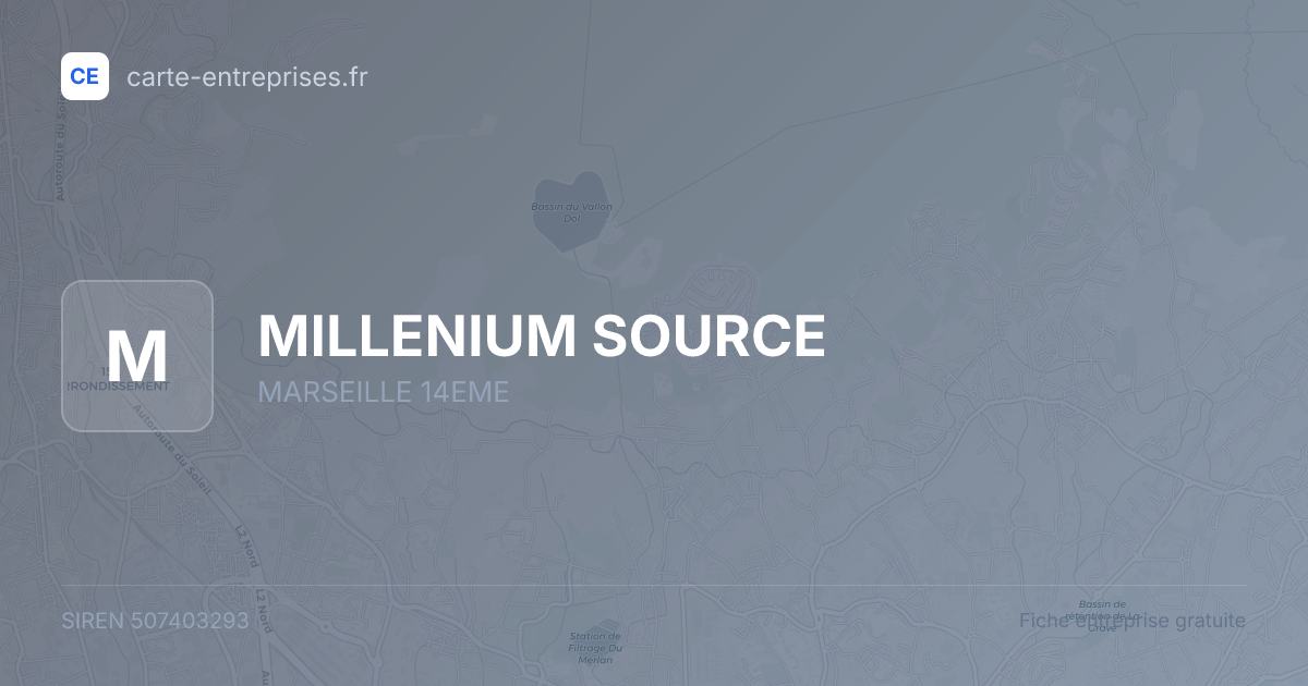 MILLENIUM SOURCE — 507403293 — fiche entreprise