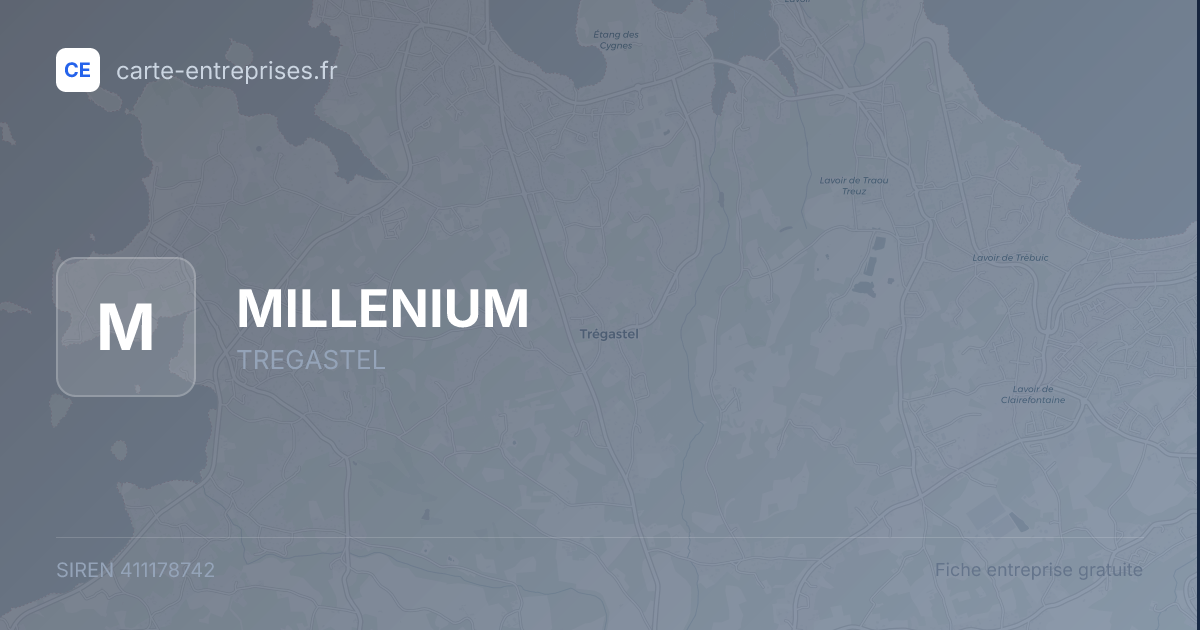 MILLENIUM — 411178742 — fiche entreprise