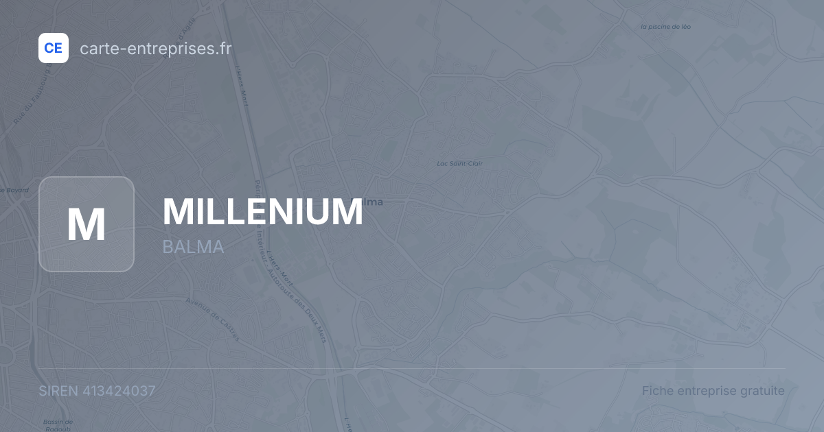 MILLENIUM — 413424037 — fiche entreprise