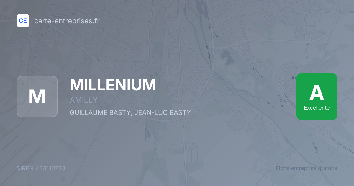MILLENIUM — 433110723 — fiche entreprise