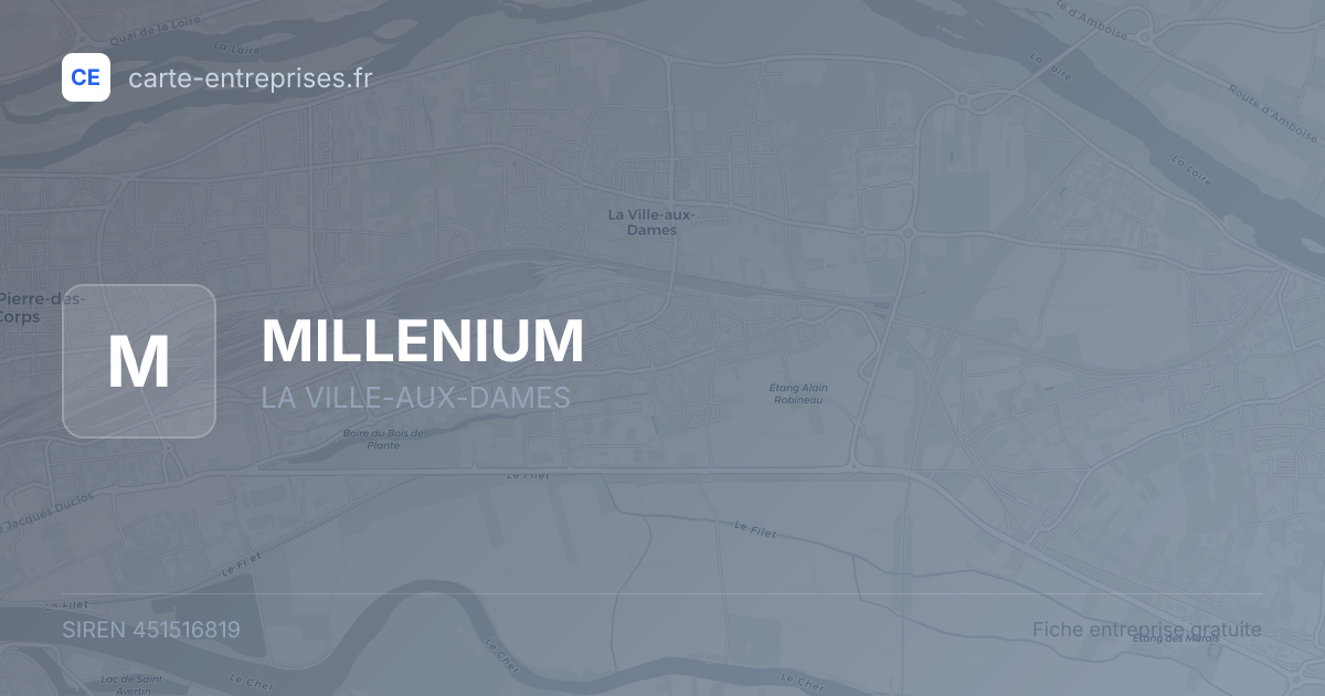 MILLENIUM — 451516819 — fiche entreprise