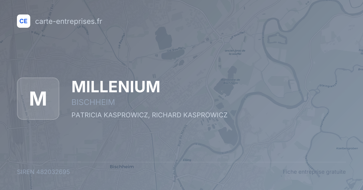 MILLENIUM — 482032695 — fiche entreprise