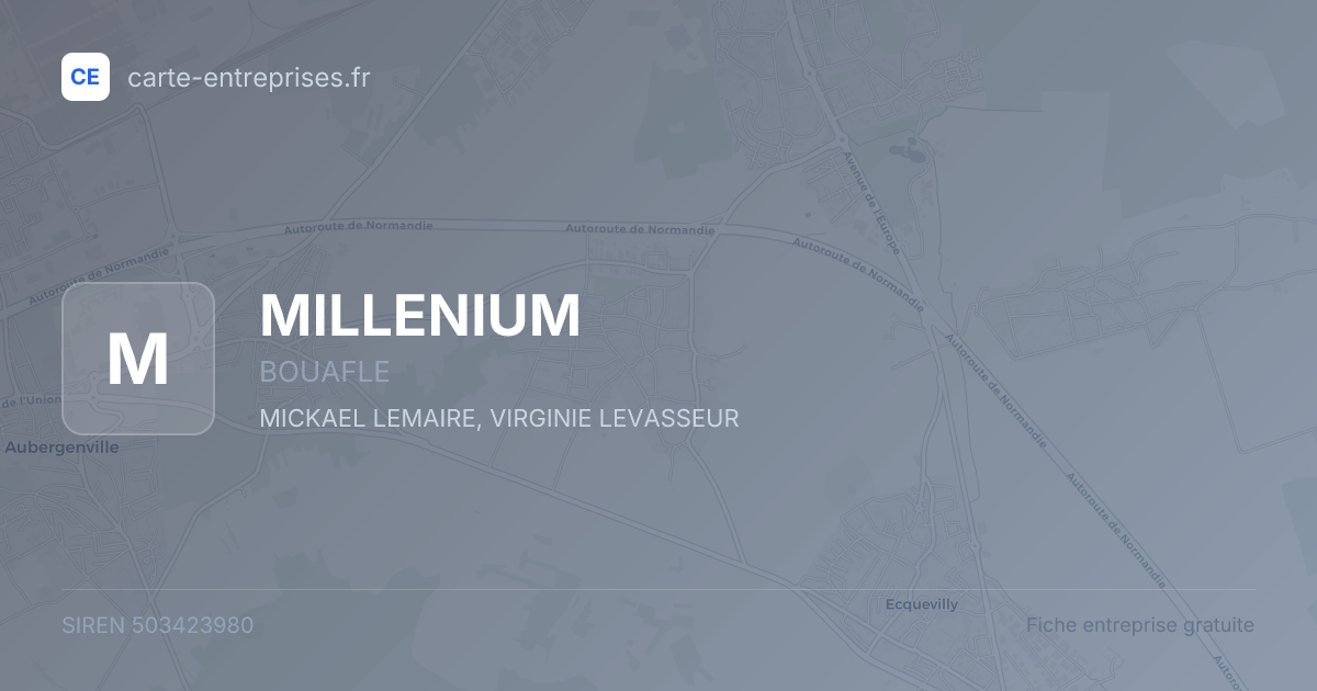 MILLENIUM — 503423980 — fiche entreprise