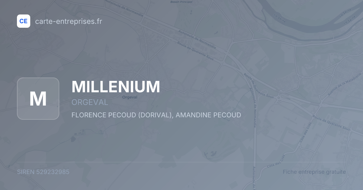MILLENIUM — 529232985 — fiche entreprise