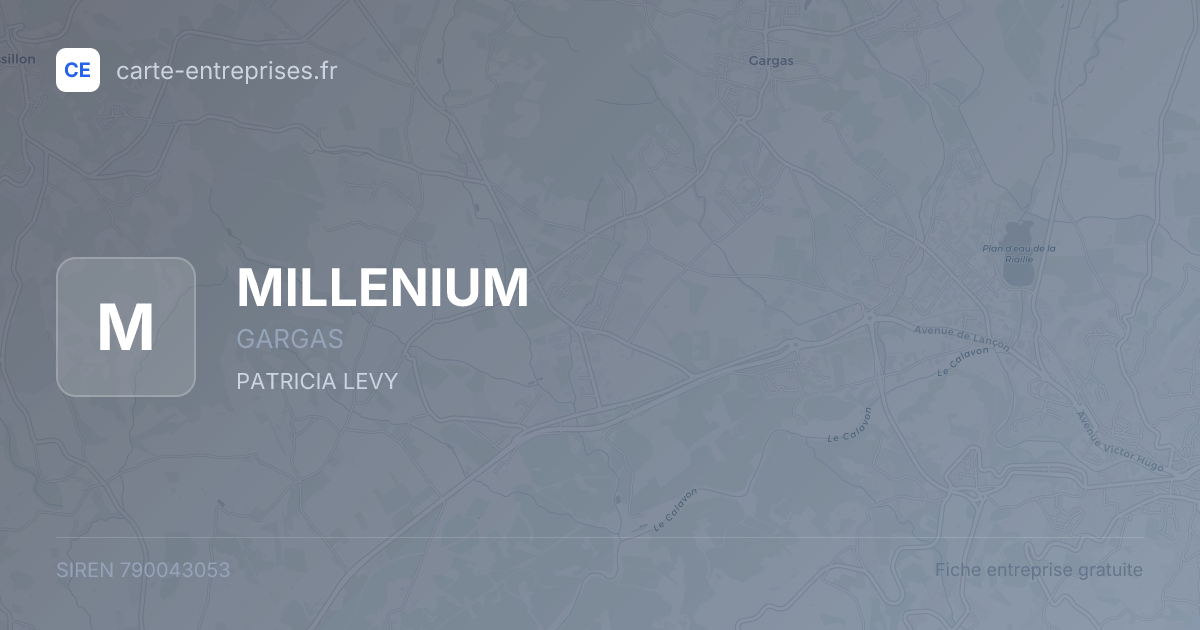 MILLENIUM — 790043053 — fiche entreprise