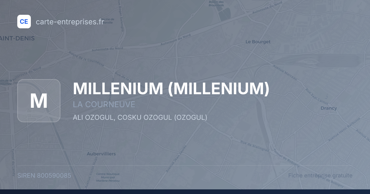 MILLENIUM — 800590085 — fiche entreprise