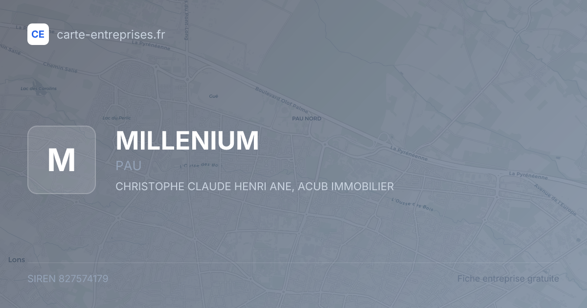 MILLENIUM — 827574179 — fiche entreprise