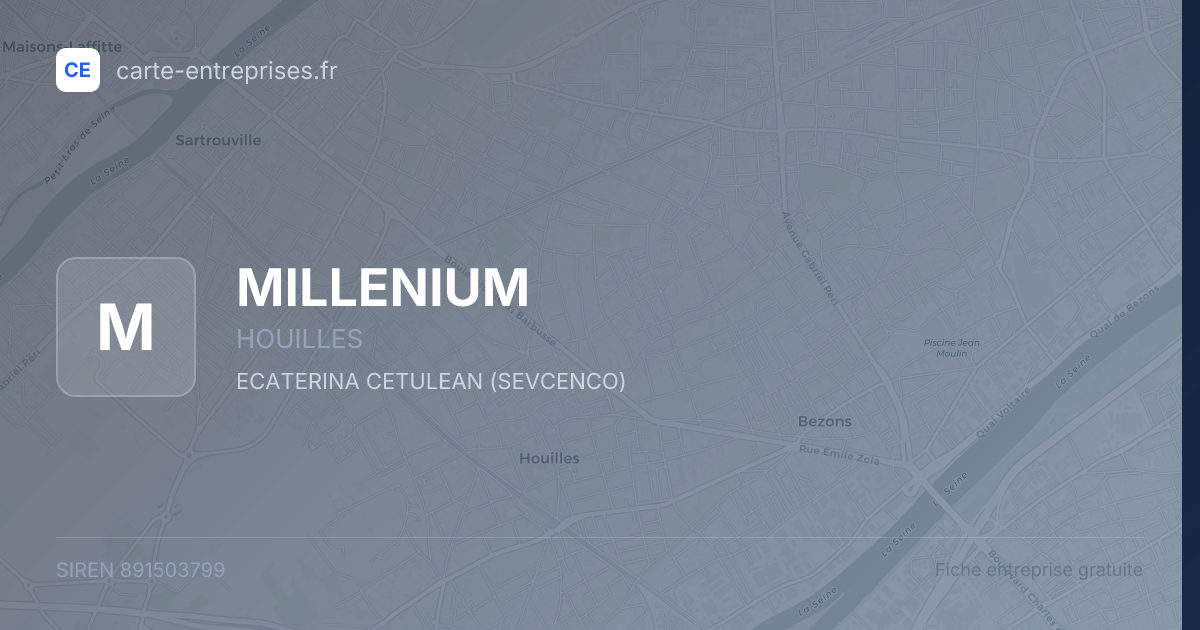 MILLENIUM — 891503799 — fiche entreprise