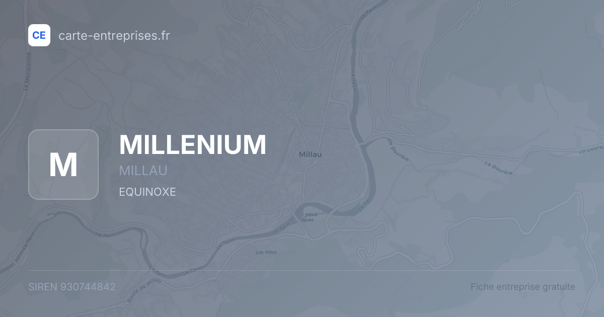 MILLENIUM — 930744842 — fiche entreprise
