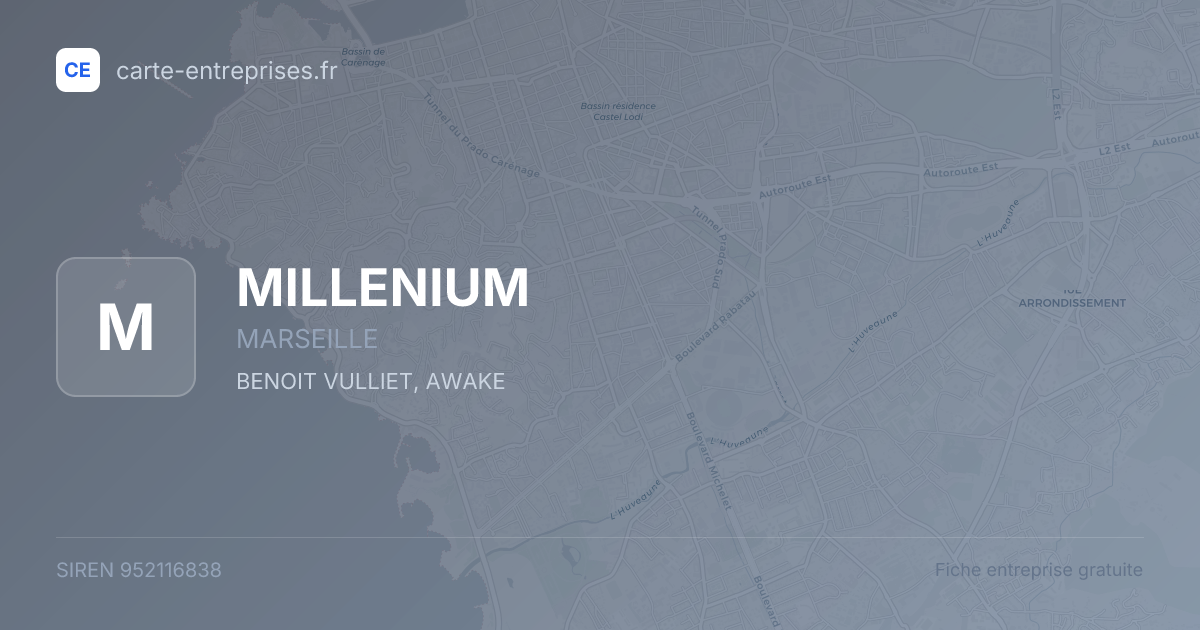 MILLENIUM — 952116838 — fiche entreprise