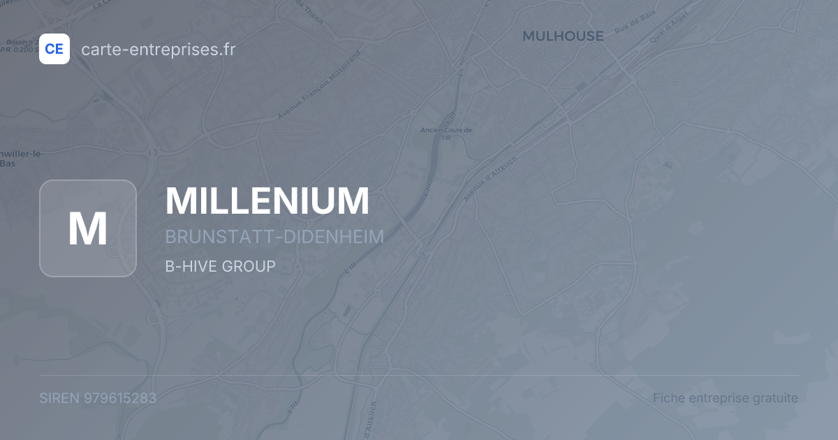 MILLENIUM — 979615283 — fiche entreprise