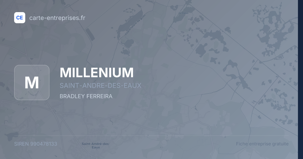 MILLENIUM — 990478133 — fiche entreprise