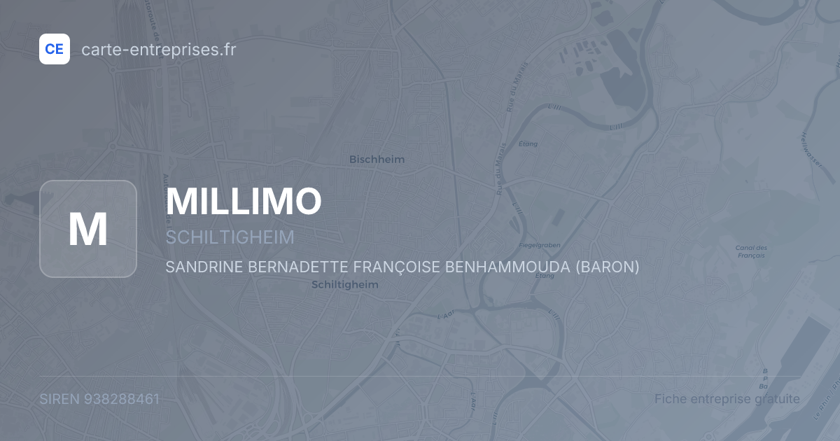 MILLIMO — 938288461 — fiche entreprise