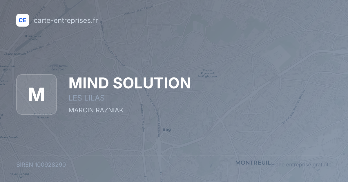 MIND SOLUTION — 100928290 — fiche entreprise