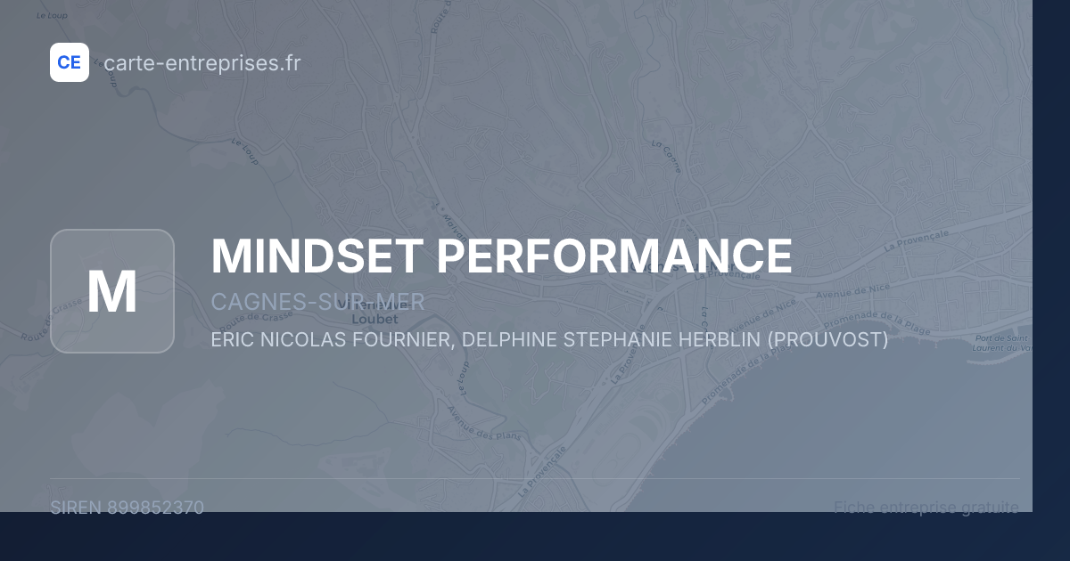 MINDSET PERFORMANCE — 899852370 — fiche entreprise