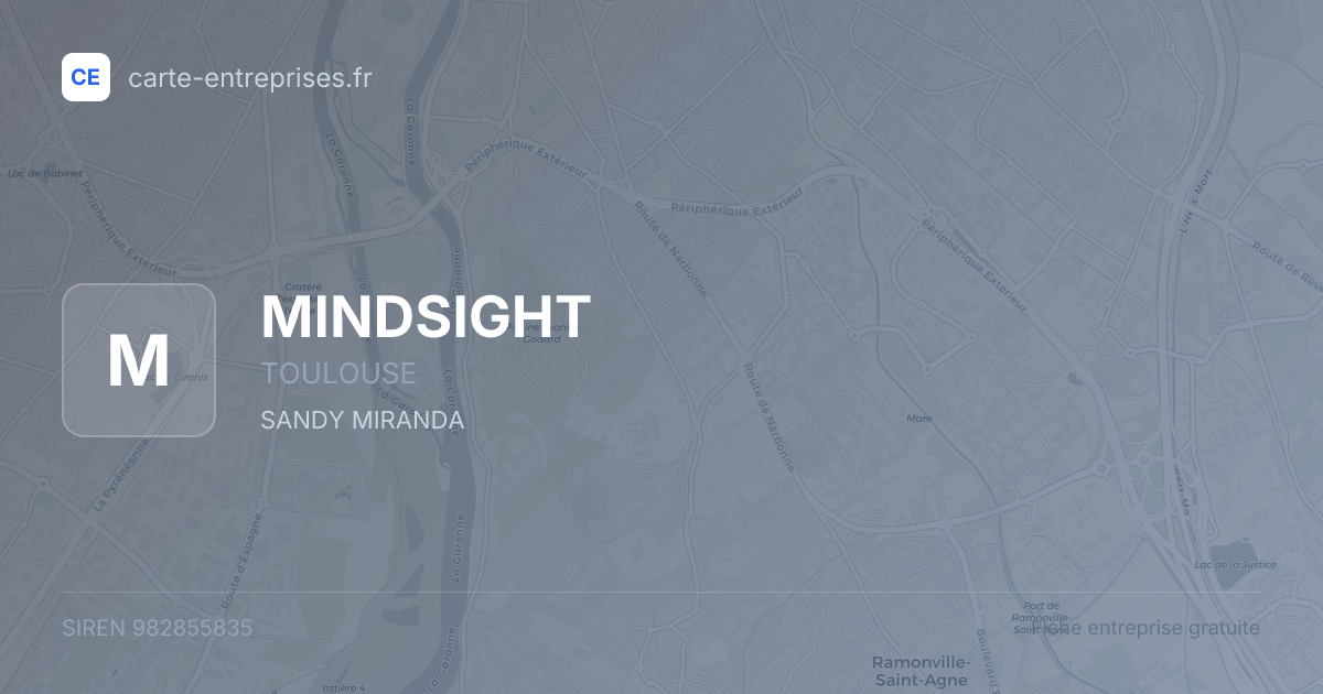 MINDSIGHT — 982855835 — fiche entreprise