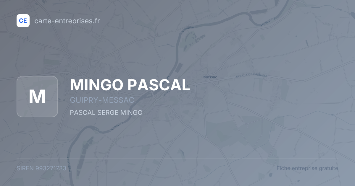MINGO PASCAL — 993271733 — fiche entreprise