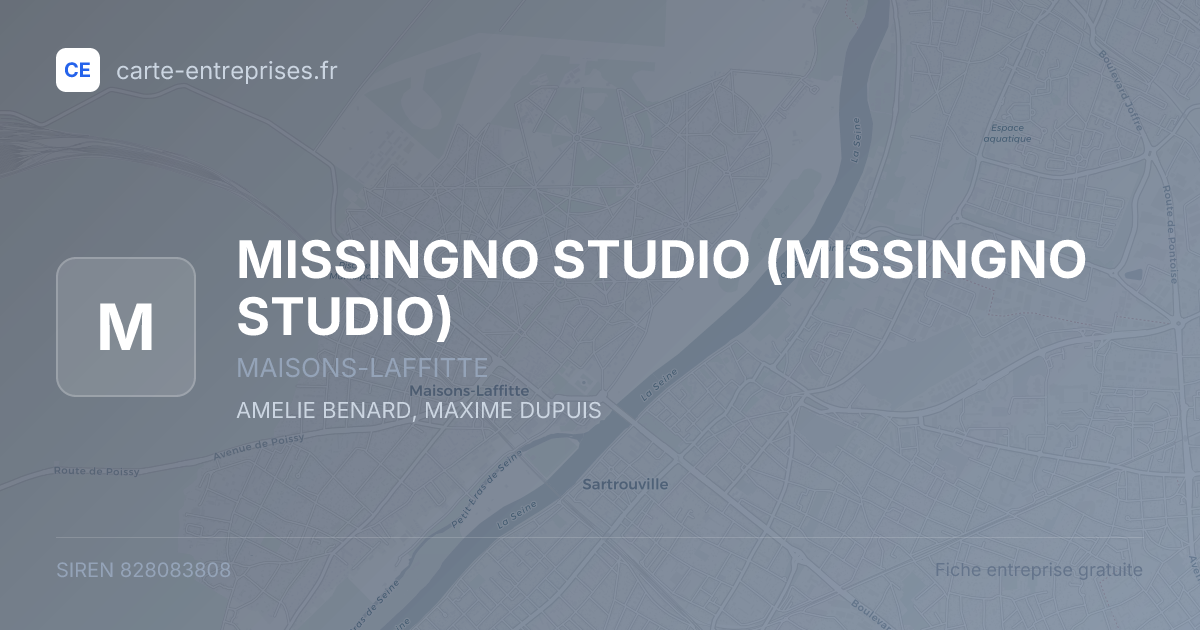 MISSINGNO STUDIO — 828083808 — fiche entreprise