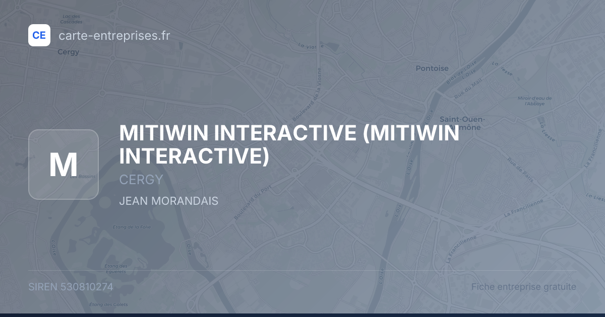 MITIWIN INTERACTIVE — 530810274 — fiche entreprise
