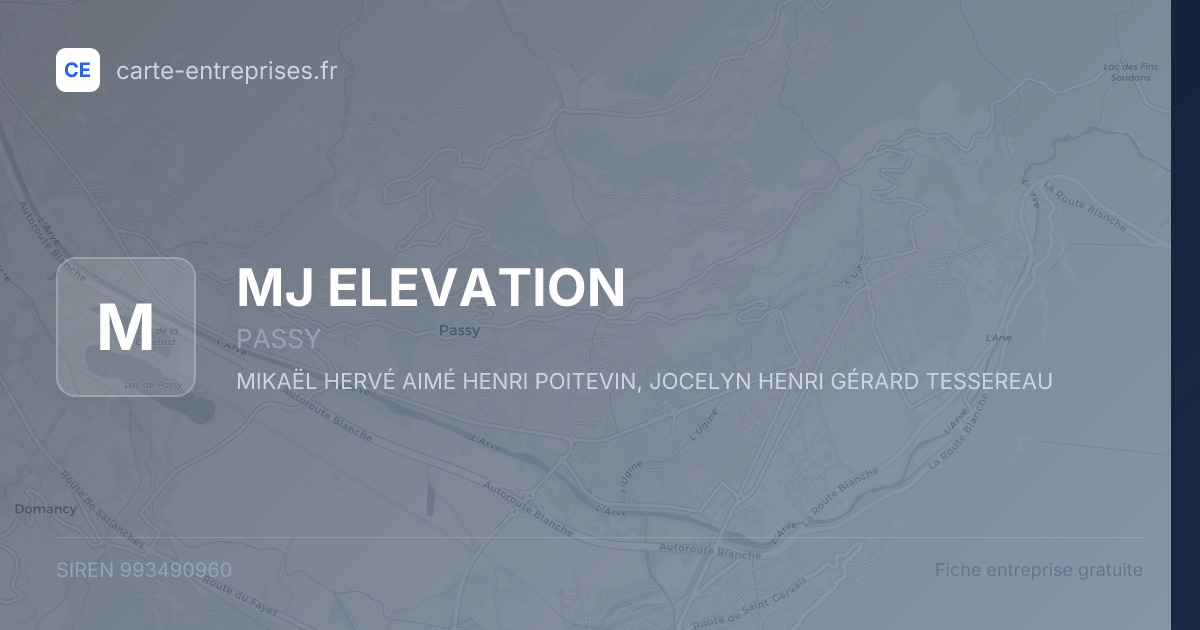 MJ ELEVATION — 993490960 — fiche entreprise