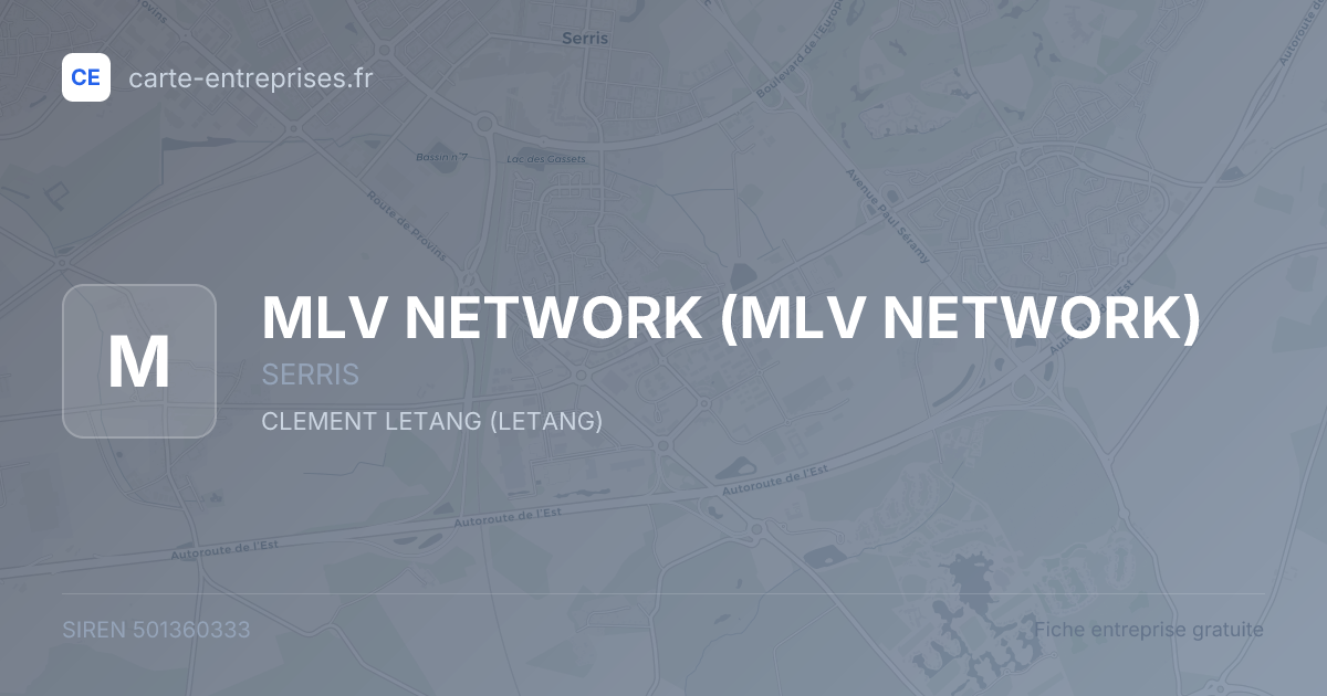 MLV NETWORK — 501360333 — fiche entreprise