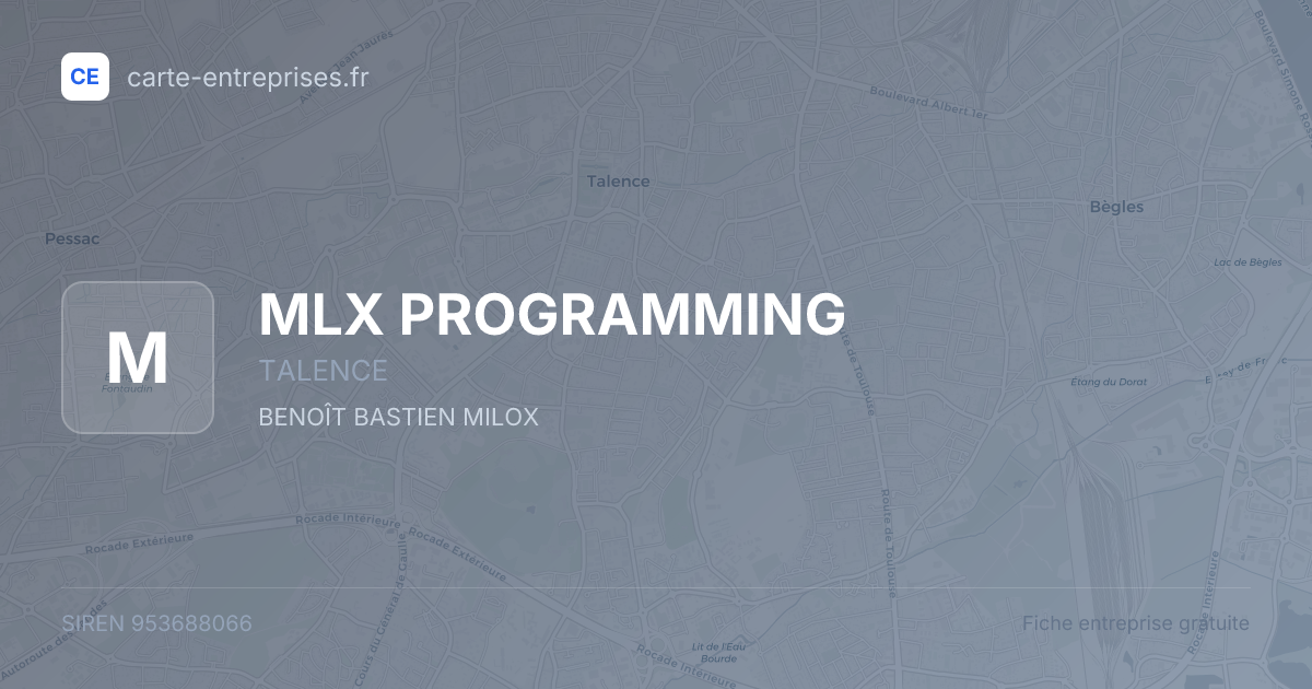 MLX PROGRAMMING — 953688066 — fiche entreprise