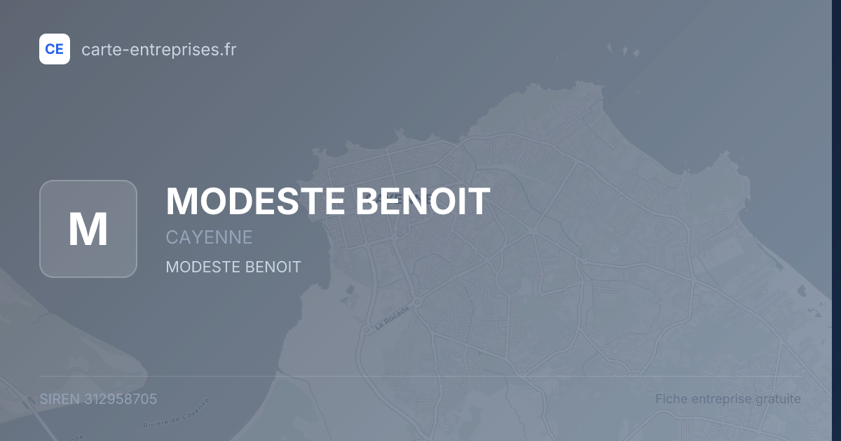 MODESTE BENOIT — 312958705 — fiche entreprise