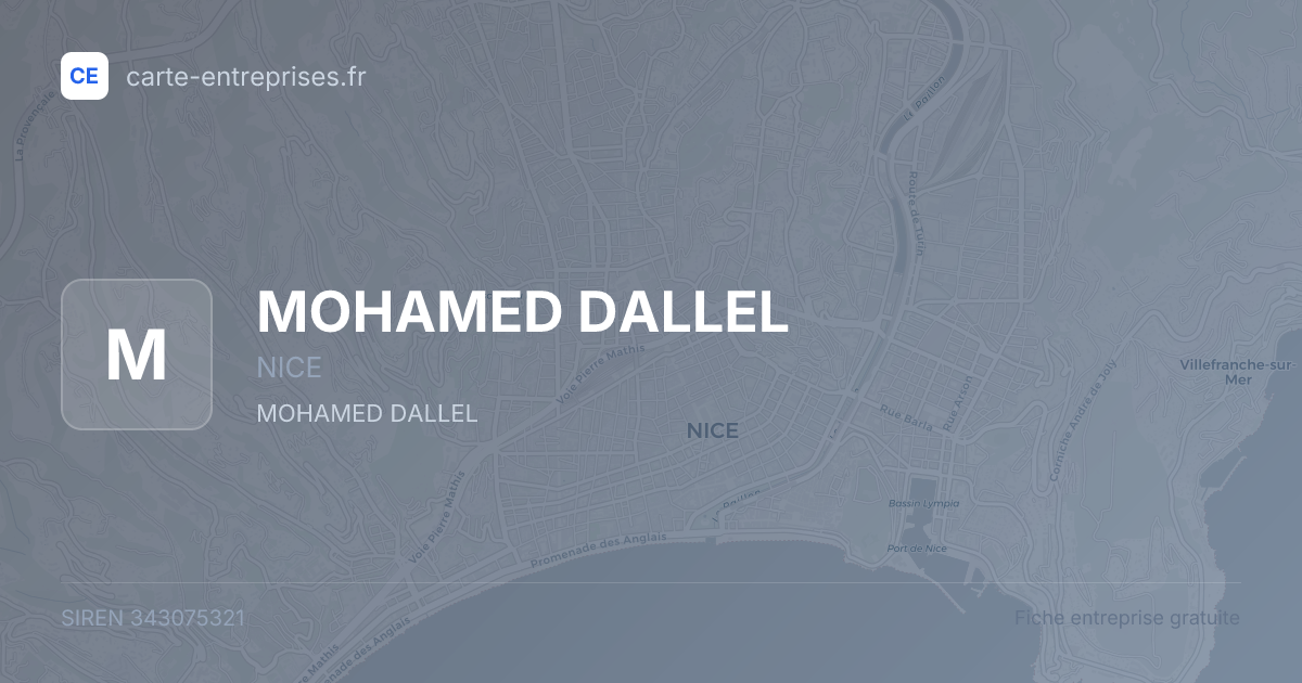 MOHAMED DALLEL — 343075321 — fiche entreprise
