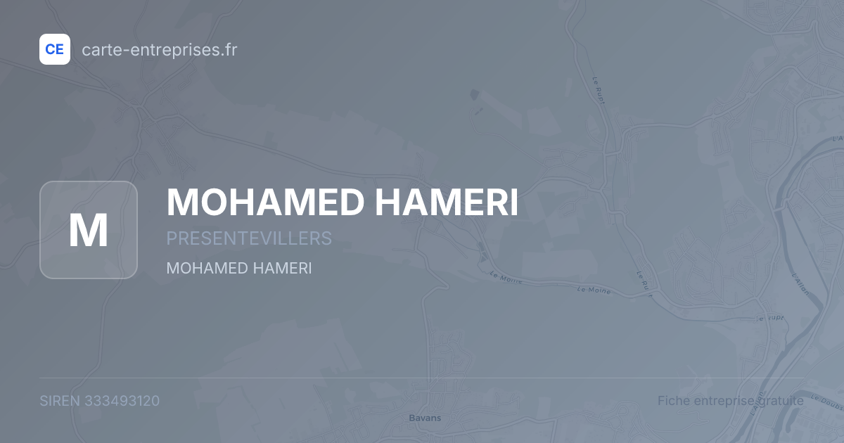 MOHAMED HAMERI — 333493120 — fiche entreprise