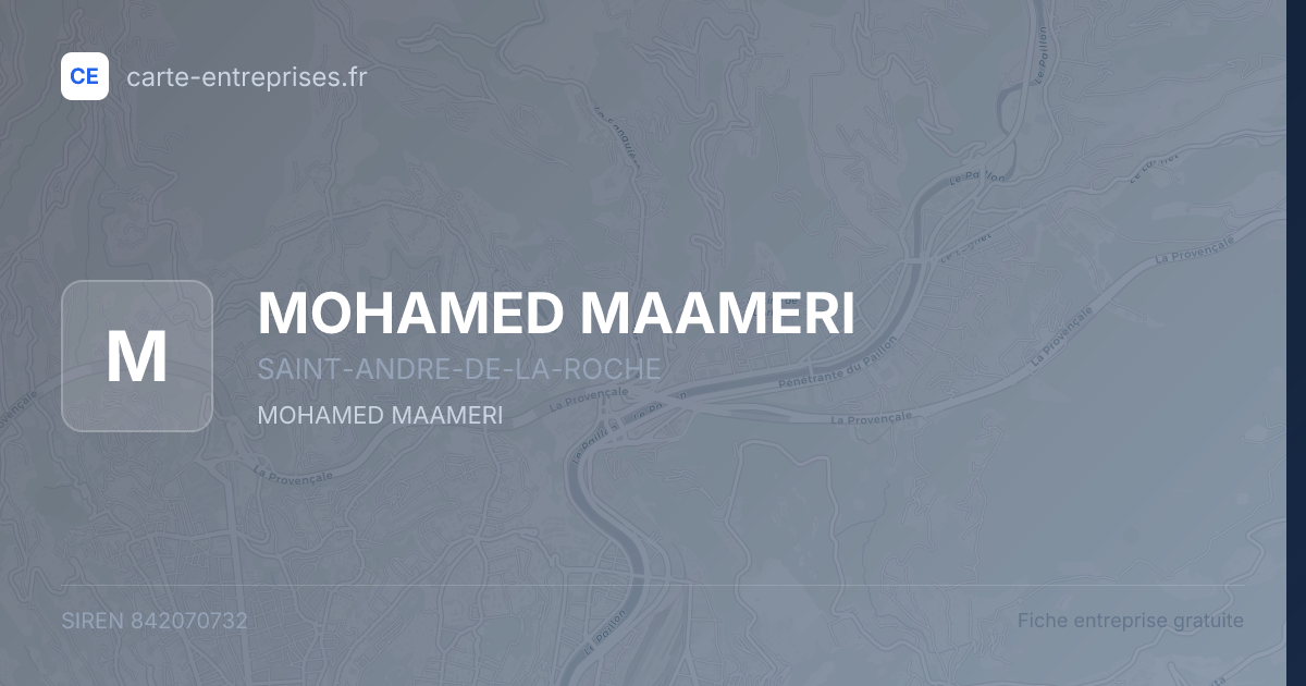 MOHAMED MAAMERI — 842070732 — fiche entreprise