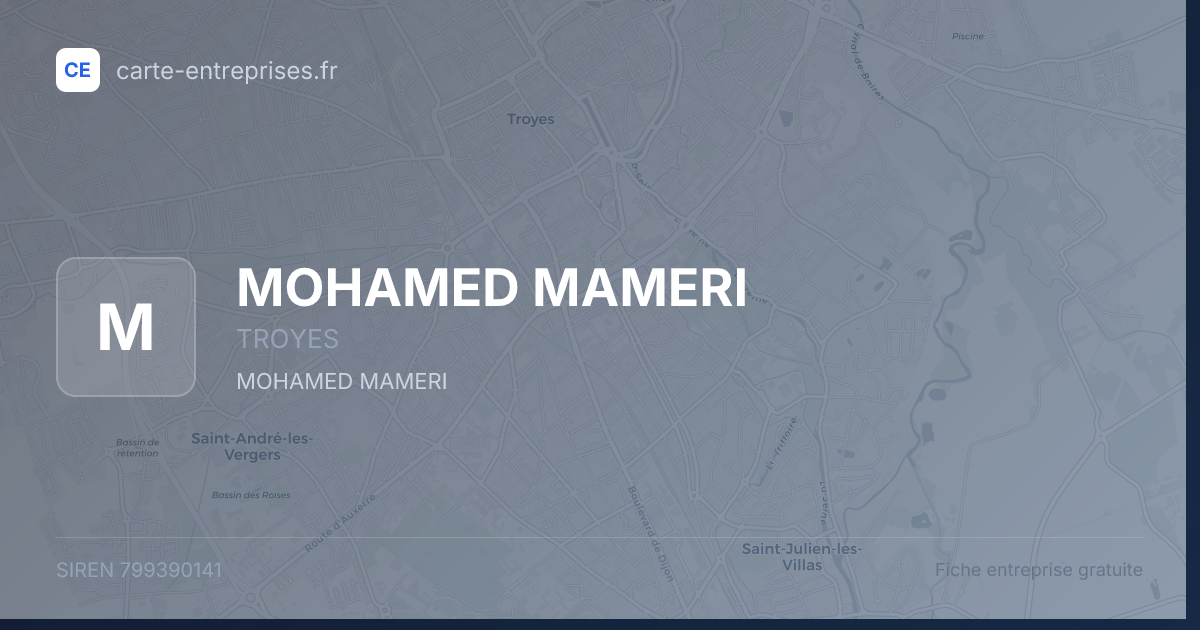 MOHAMED MAMERI — 799390141 — fiche entreprise