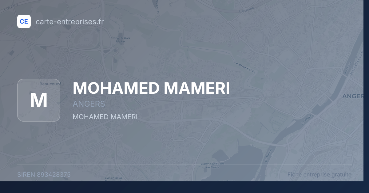 MOHAMED MAMERI — 893428375 — fiche entreprise