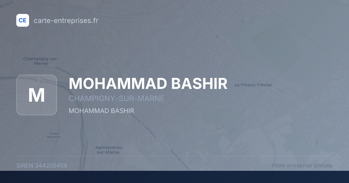 MOHAMMAD BASHIR — 344256458 — fiche entreprise