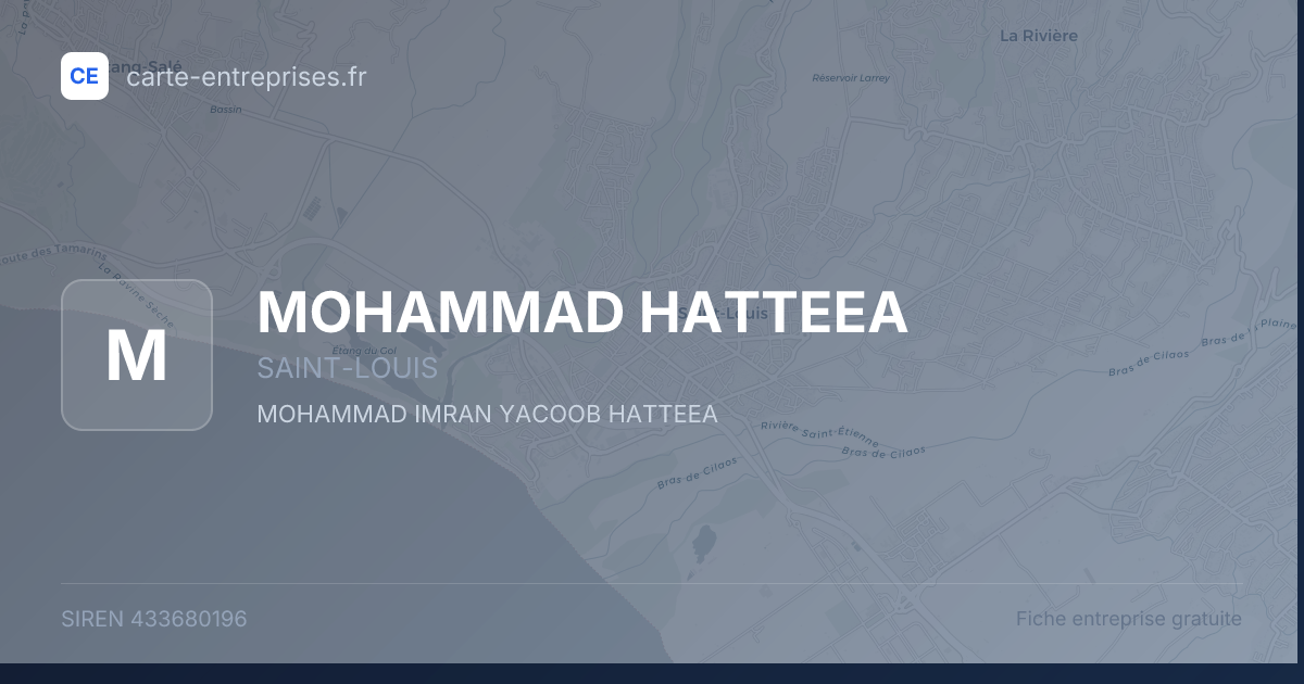 MOHAMMAD HATTEEA — 433680196 — fiche entreprise