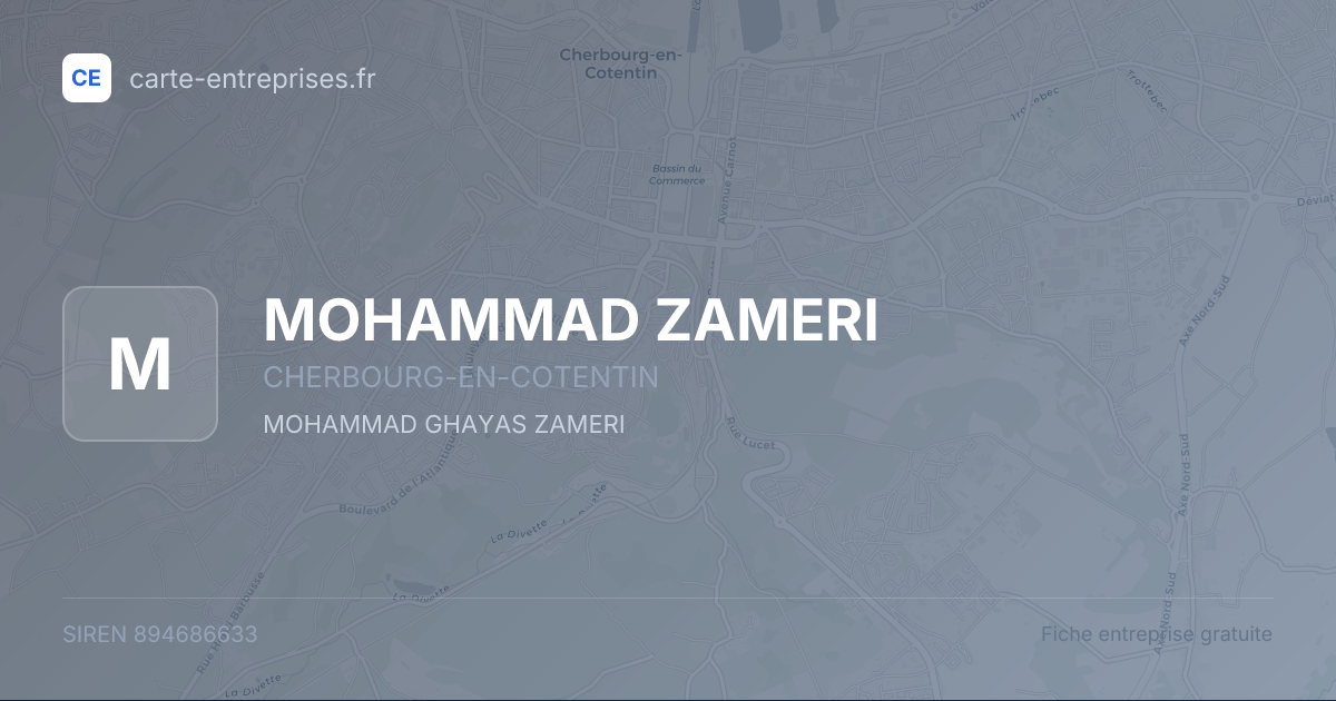 MOHAMMAD ZAMERI — 894686633 — fiche entreprise