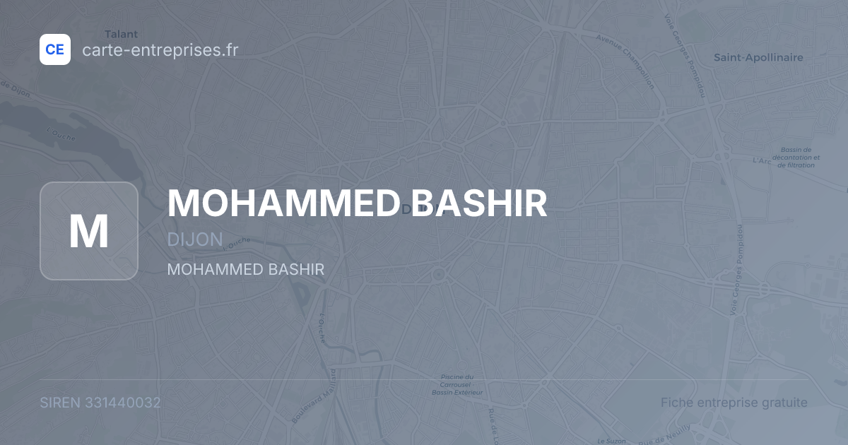 MOHAMMED BASHIR — 331440032 — fiche entreprise