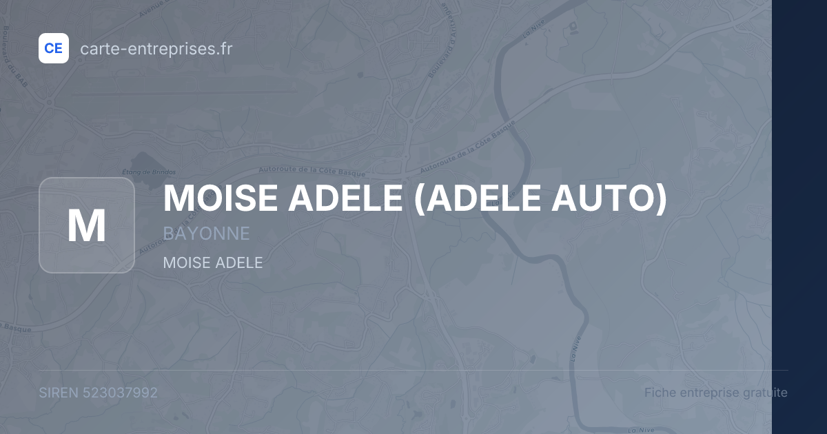MOISE ADELE (ADELE AUTO) — 523037992 — fiche entreprise